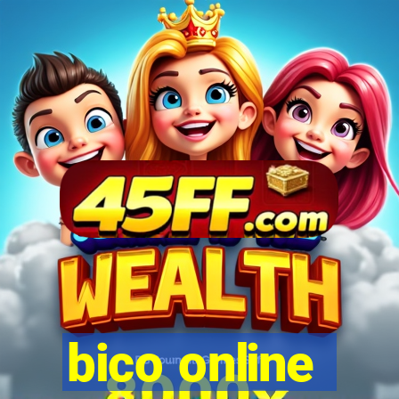 bico online